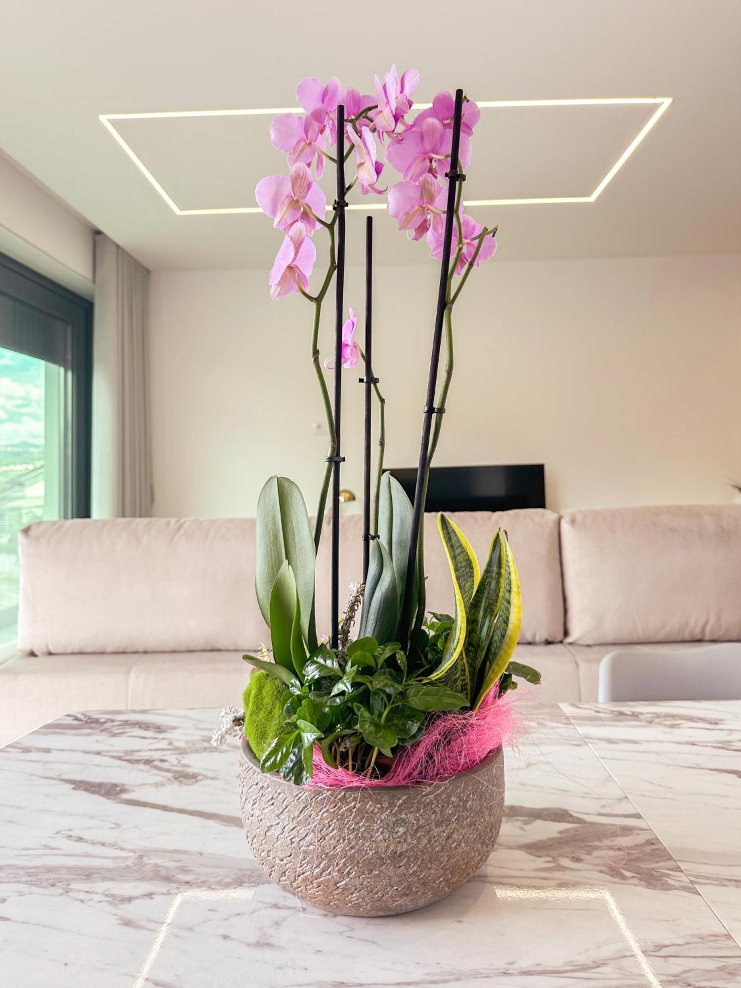 Flora Guest House Marco de Canavezes Dış mekan fotoğraf